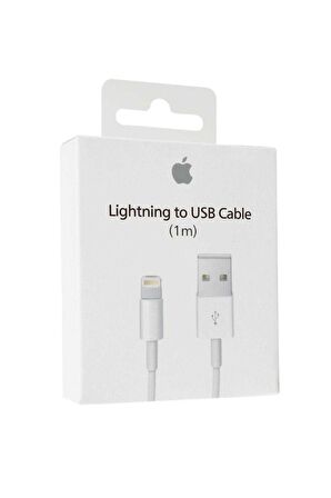 Apple Lightning to USB Cable